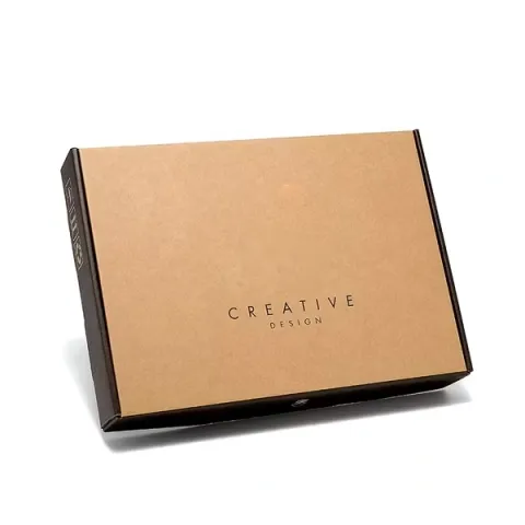 Printed Kraft Mailer Boxes